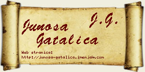 Junoša Gatalica vizit kartica